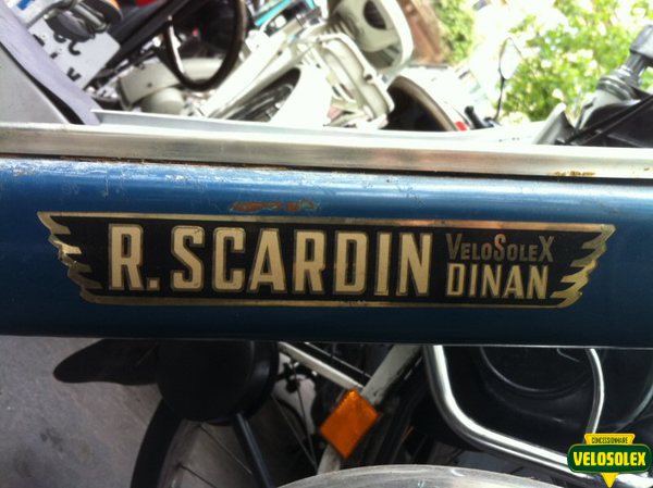 scardin