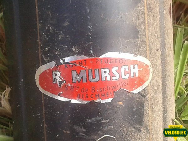mursch